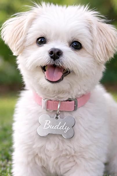 Personalized Laser Engraved Aluminum Pet ID Tag  – Durable & Lightweight